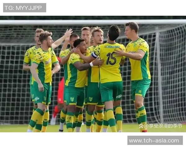 英冠诺维奇全力以赴冲刺升级目标奋战每一场比赛争取重返顶级联赛